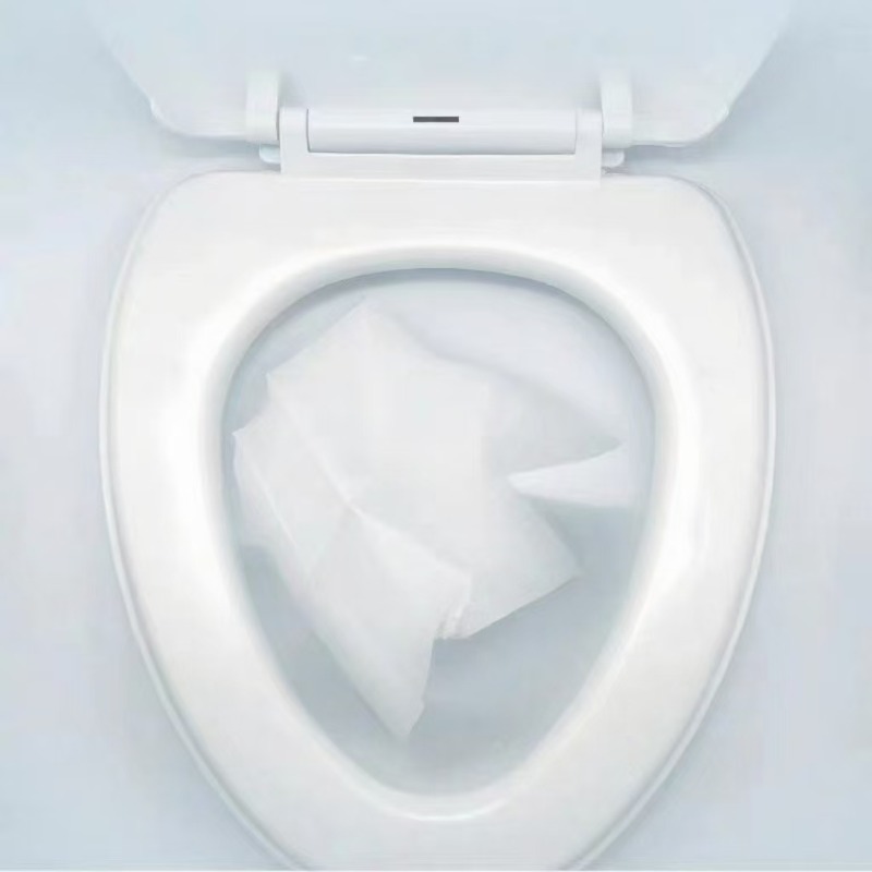 10-300pcs Disposable Toilet Se - đánh giá và giá Portable Camp Toilet
